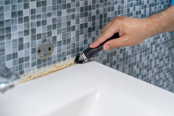 Best Mold Testing  in Holmen, WI