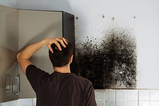 Water Damage Restoration in Holmen, WI